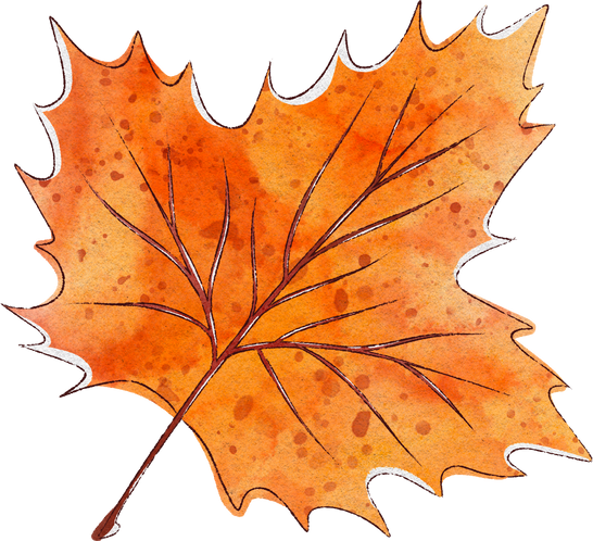 Splotchy Watercolor Fall Brown Maple Leaf