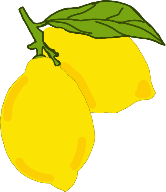Lemon Hand Drawn Illustration